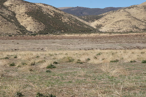 Firestone.Ranch.FIeld.133