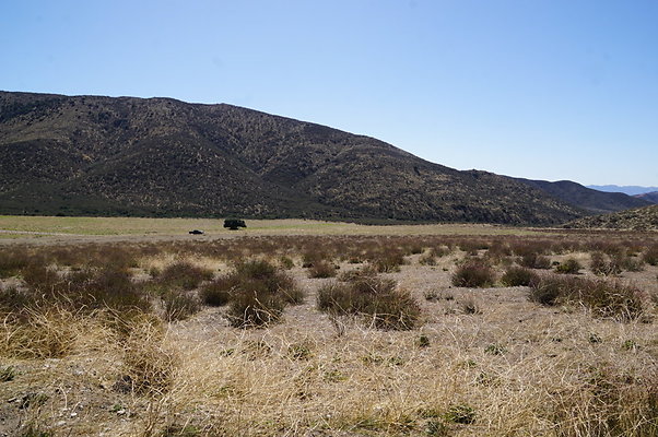 Firestone.Ranch.FIeld.100