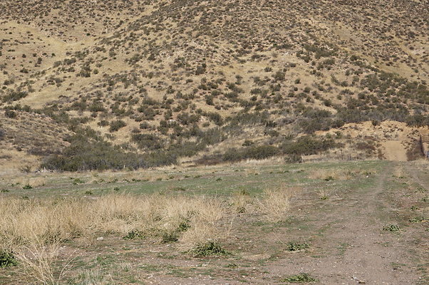 Firestone.Ranch.FIeld.138