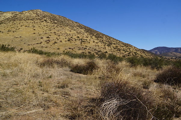 Firestone.Ranch.FIeld.80