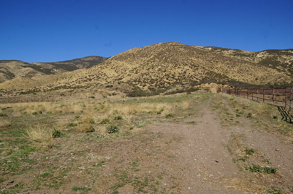 Firestone.Ranch.FIeld.132