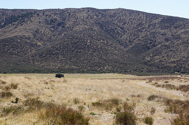 Firestone.Ranch.FIeld.72
