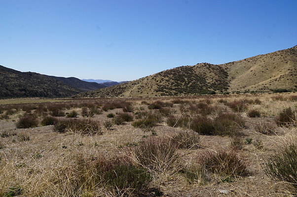 Firestone.Ranch.FIeld.101