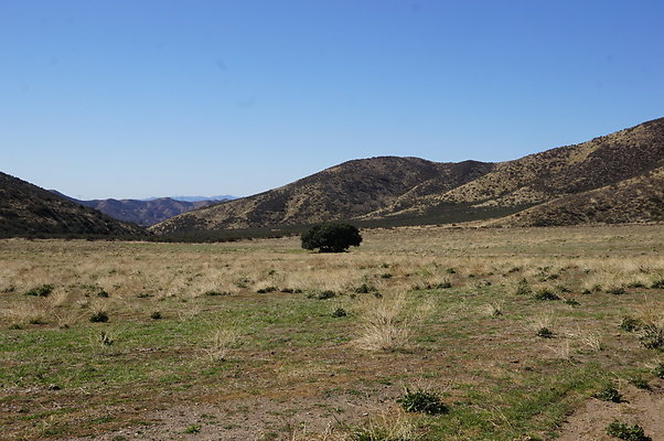 Firestone.Ranch.FIeld.124