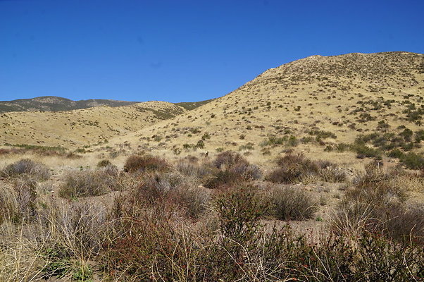 Firestone.Ranch.FIeld.103