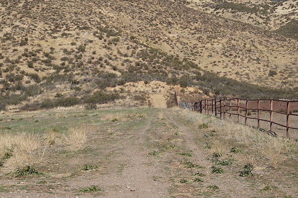 Firestone.Ranch.FIeld.139