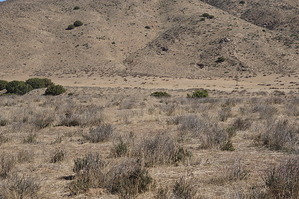 Caravan.West.Big.Ranch.04
