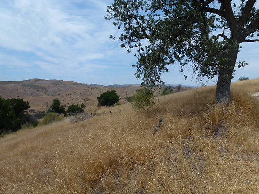P1010022