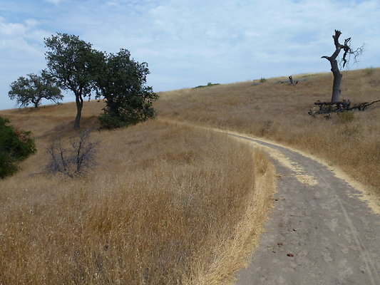 P1010028