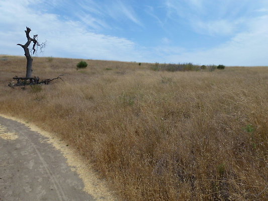 P1010029