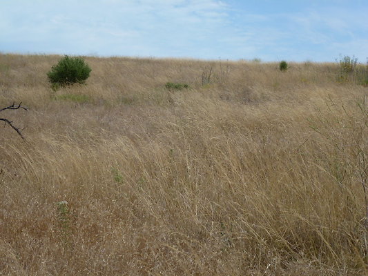 P1010035