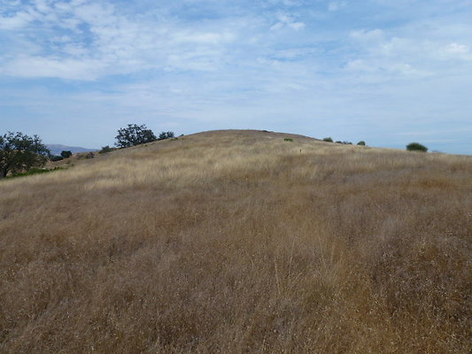 P1010041