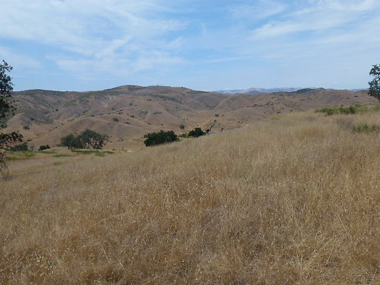 P1010052