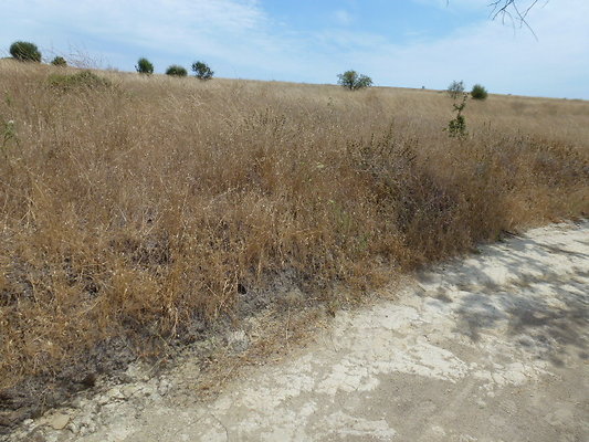 P1010027