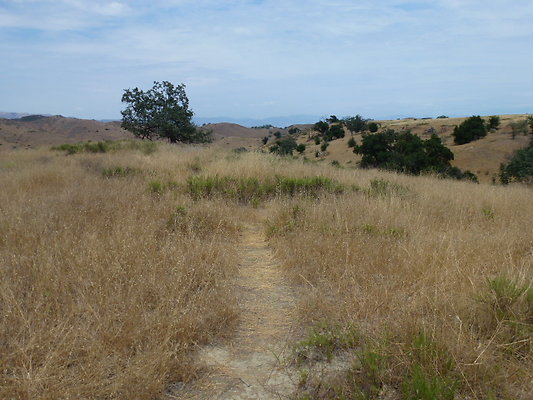 P1010053