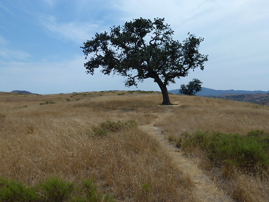 P1010050