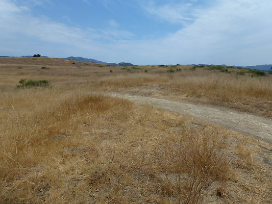 P1010045