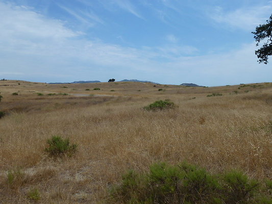 P1010049
