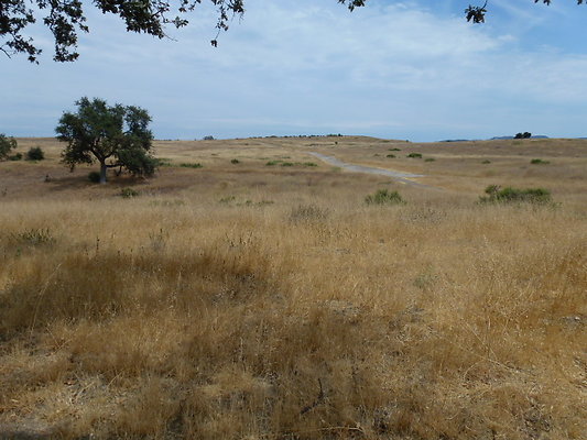 P1010044