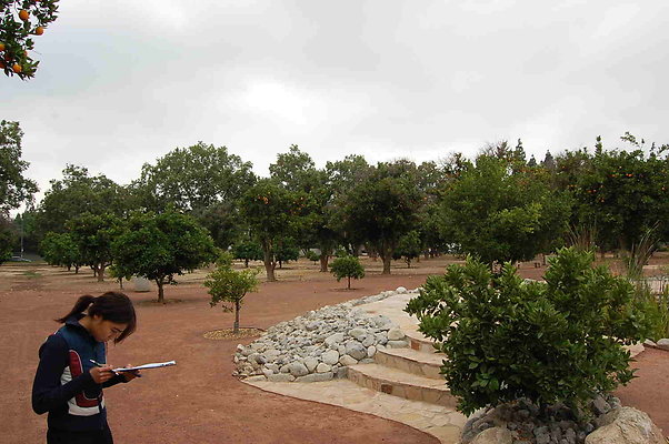 DSC 0077