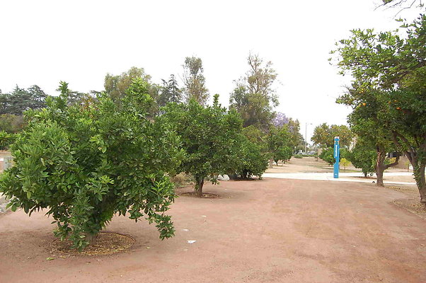 DSC 0079