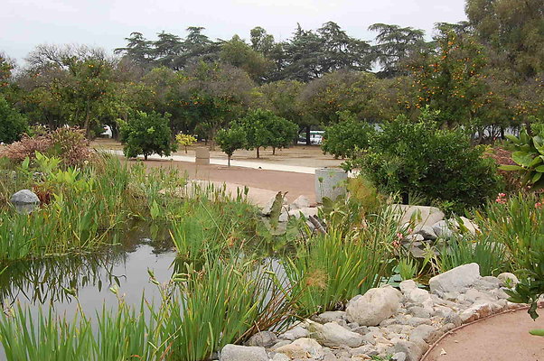 DSC 0082