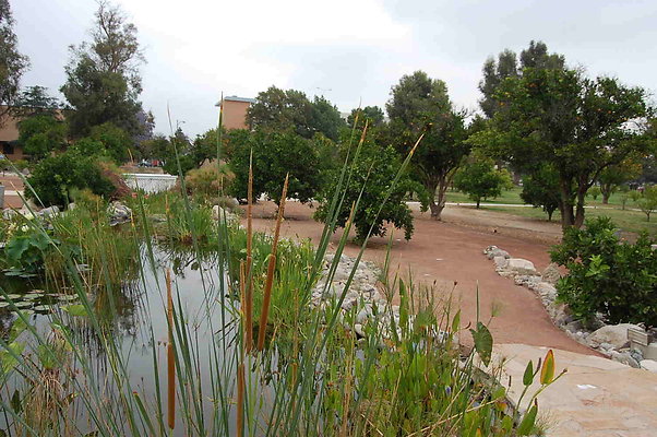 DSC 0085