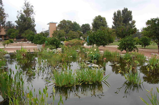 DSC 0088