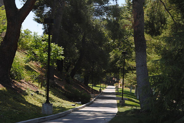 DSC 0514 hero DSC 0514 hero