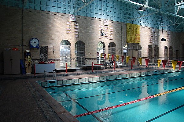 DSC 0195