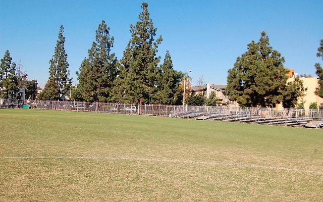 DSC 0083