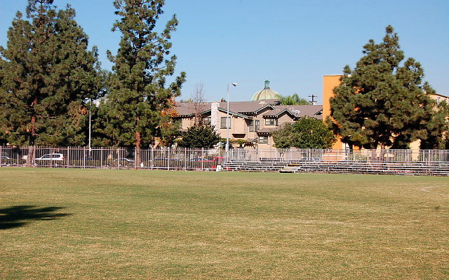 DSC 0059