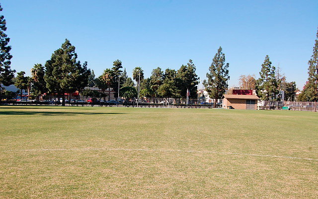 DSC 0082