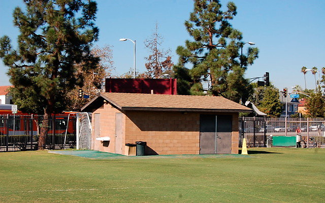DSC 0080b