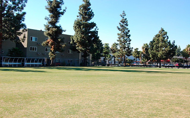 DSC 0065
