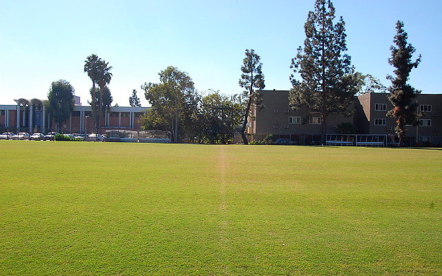 DSC 0099