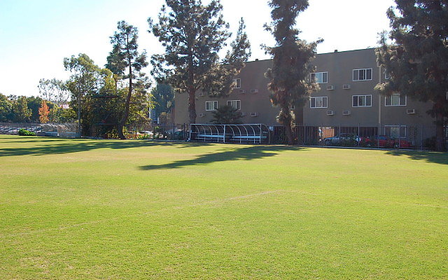 DSC 0090