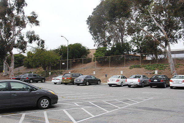 DSC 0307