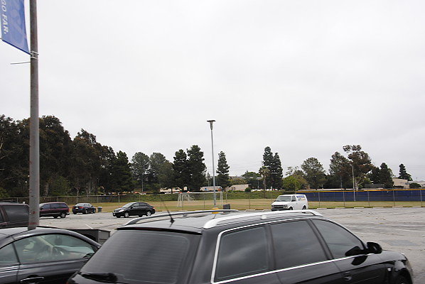 DSC 0311