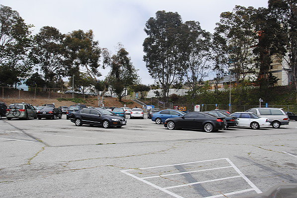 DSC 0292
