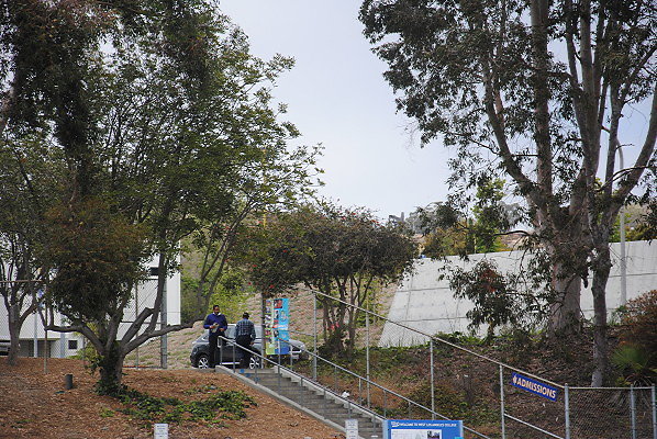 DSC 0297