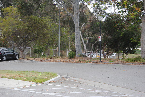 DSC 0319