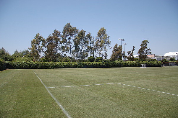 DSC 0053