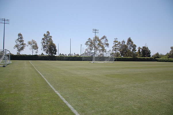 DSC 0050