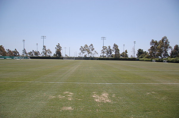 DSC 0041