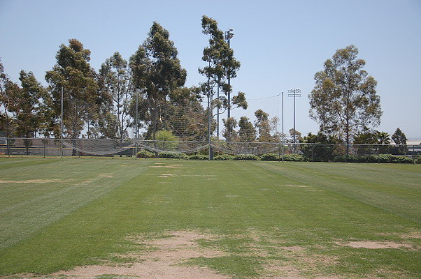 DSC 0066