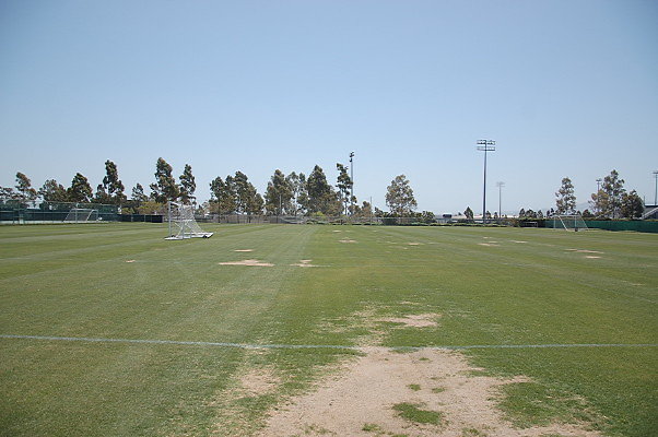 DSC 0063