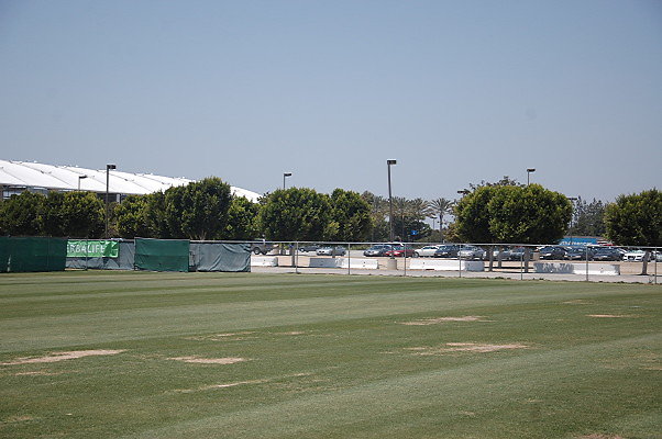 DSC 0074