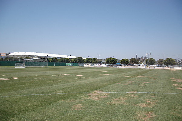 DSC 0073