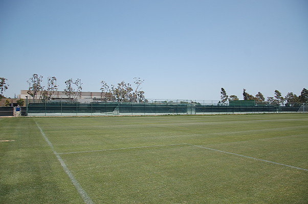 DSC 0062